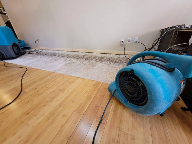 Professional Water Damage Repair technician working in Chocorua, NH